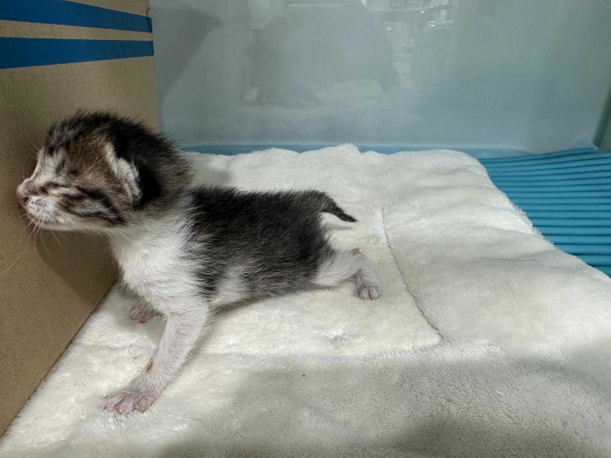 종료(자연사) 한국…